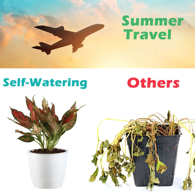 DEELF OUTLET 6 Pack 6.7" Self-Watering Planters Flower Pots for Indoor Garden Devil's Ivy, African Violet, Ocean Spider Plant, Orchid, White Color - Image 5